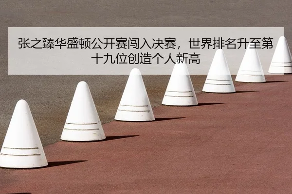 zhang-zhi-zhen-hua-sheng-dun-gong-kai-sai-chuang-ru-jue-sai-shi-jie-pai-ming-sheng-zhi-di-shi-jiu-wei-chuang-zao-ge-ren-2-684.jpg